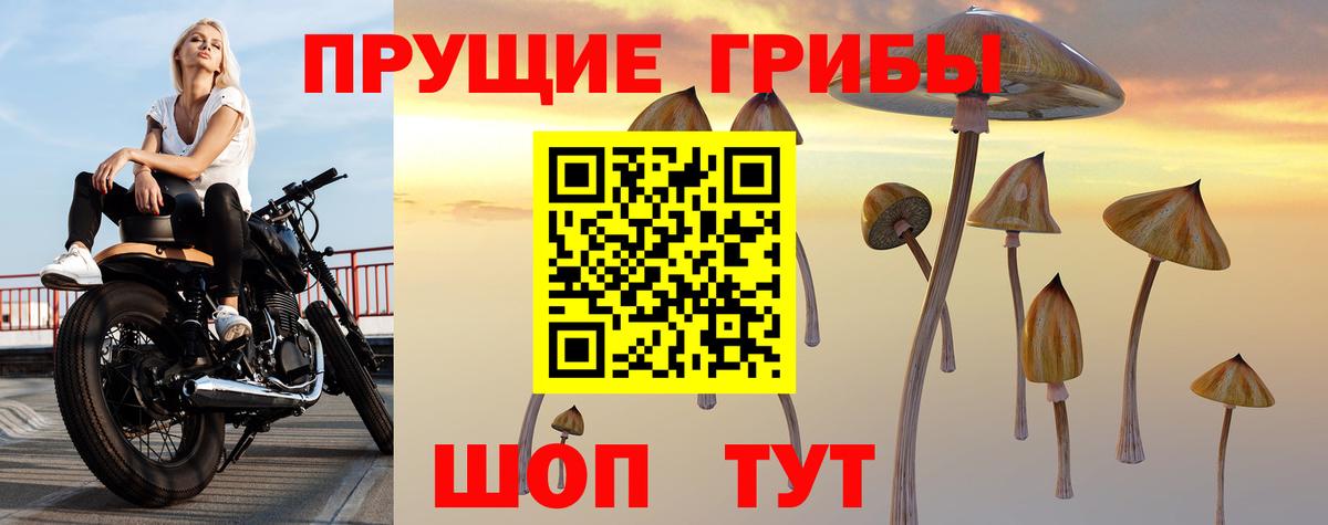 Светлоград  Галлюциногенные грибы Psilocybe  Галлюциногенные грибы прущие грибы  Вход с VPN 