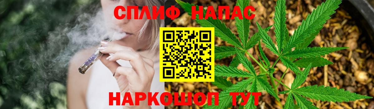 Канабис планчик  Каннабис MAZAR  Вход с VPN  Конопля планчик  Светлоград 